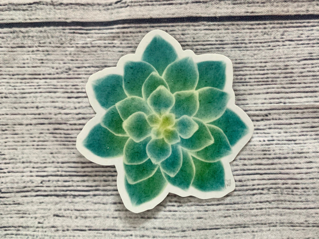 Watercolor Succulent Vinyl Sticker - Botanical Plant Decal