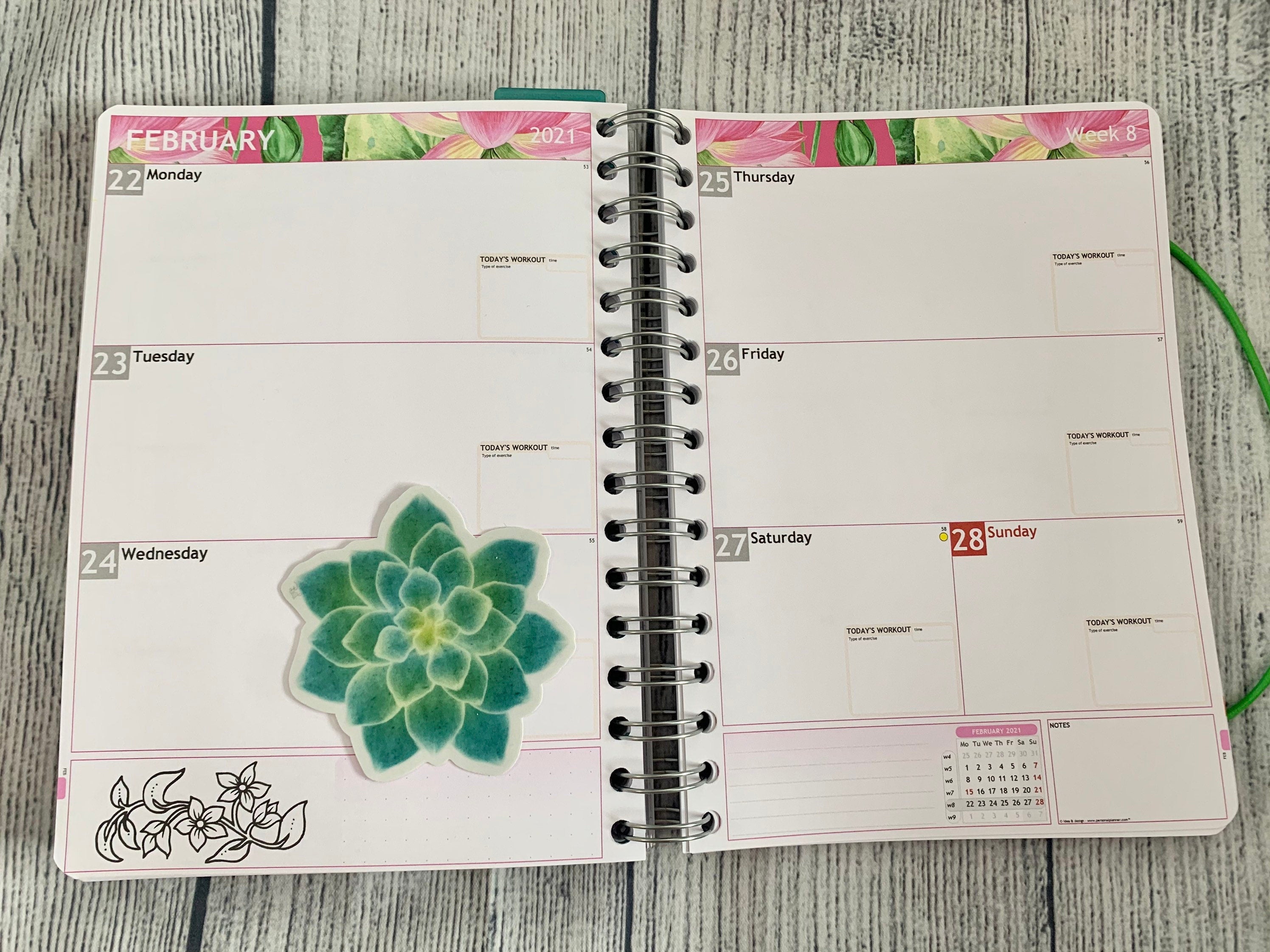 Watercolor Succulent Vinyl Sticker - Botanical Plant Decal