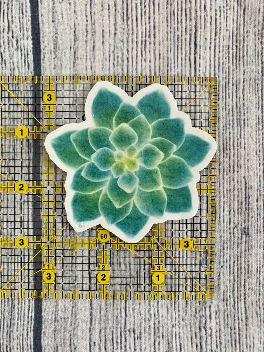 Watercolor Succulent Vinyl Sticker - Botanical Plant Decal