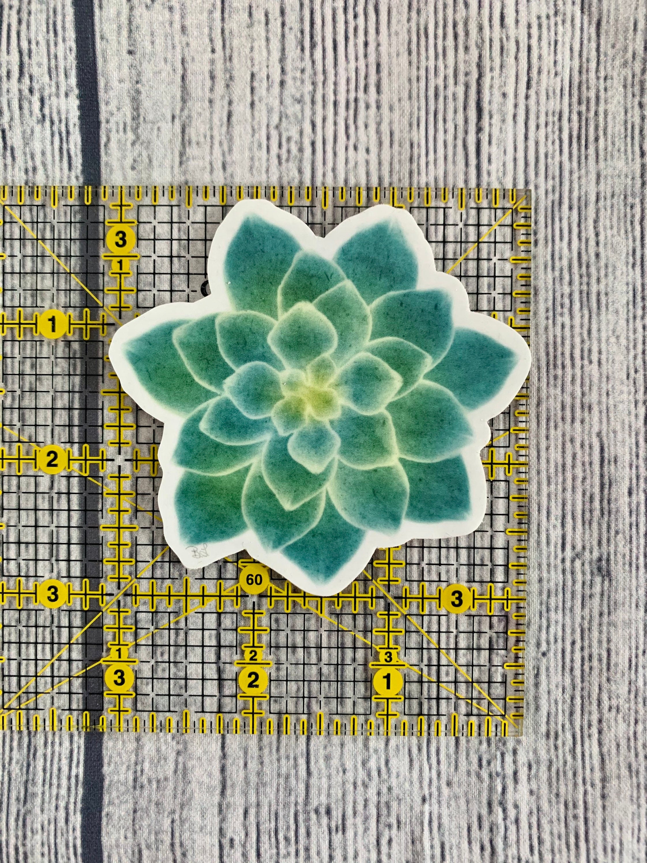 Watercolor Succulent Vinyl Sticker - Botanical Plant Decal